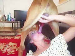 Dog Fuck Girl Compilation - Compilation Dogs Fucking GIRLS - Zoo porn - Zootubex